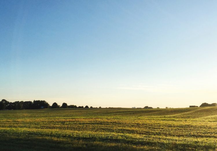 Summer morning in PA