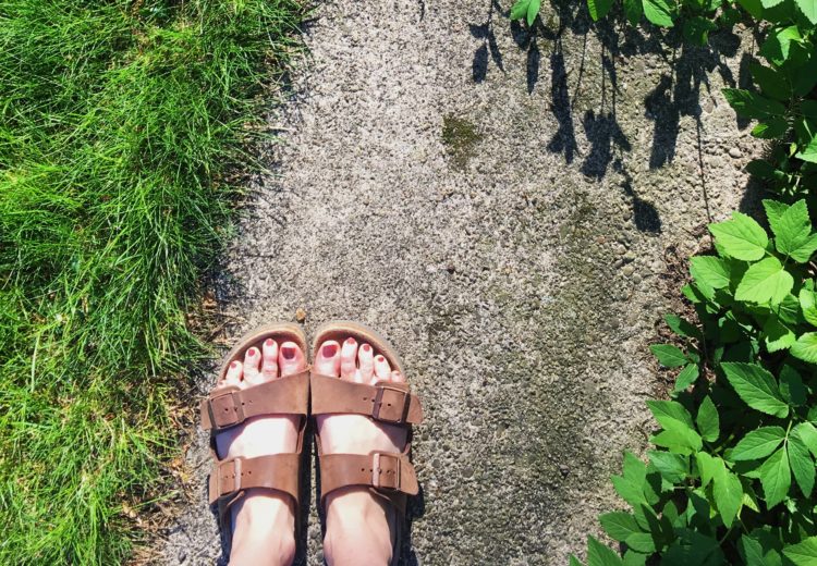 Green grass and Birks