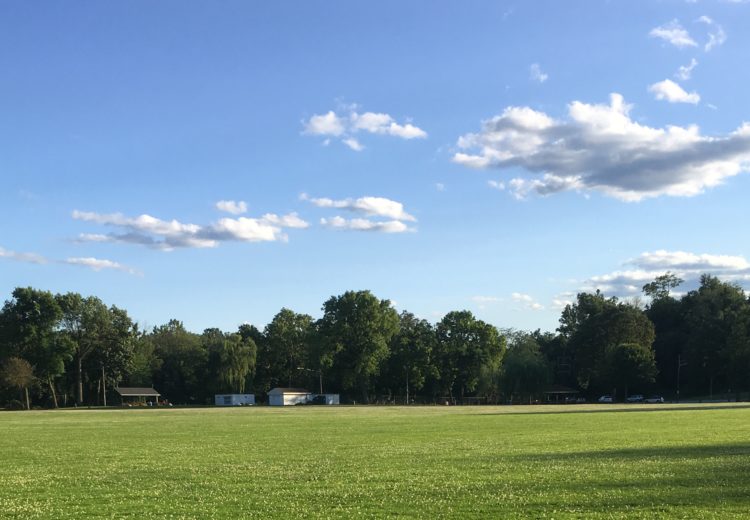 Green grass and blue skies